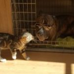 Profielfoto van Noellke