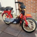 Profielfoto van Ewous